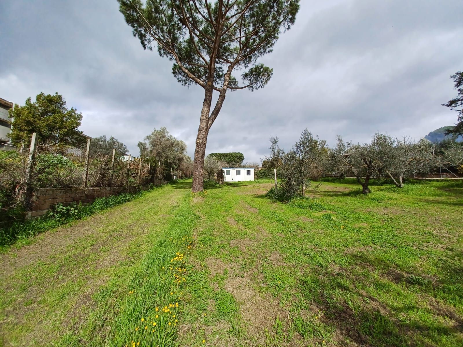 Terreno agricolo, via Santa Fumia, Roma