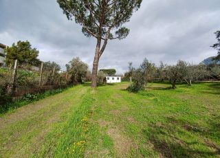 Terreno agricolo, via Santa Fumia, Roma